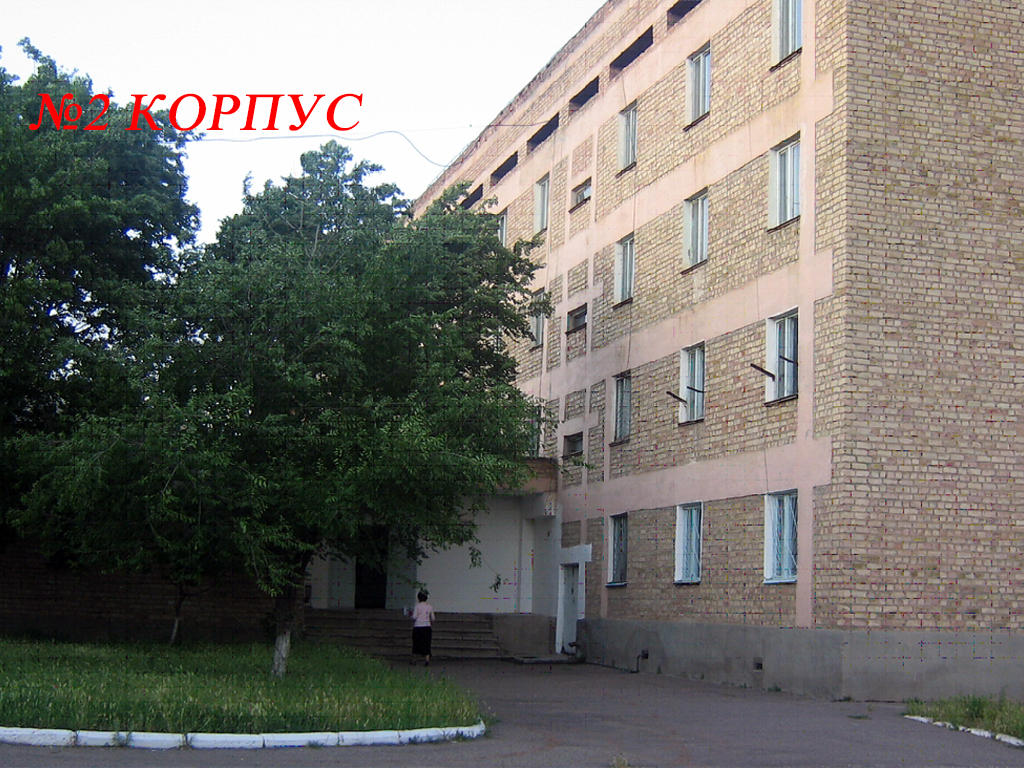 фон2